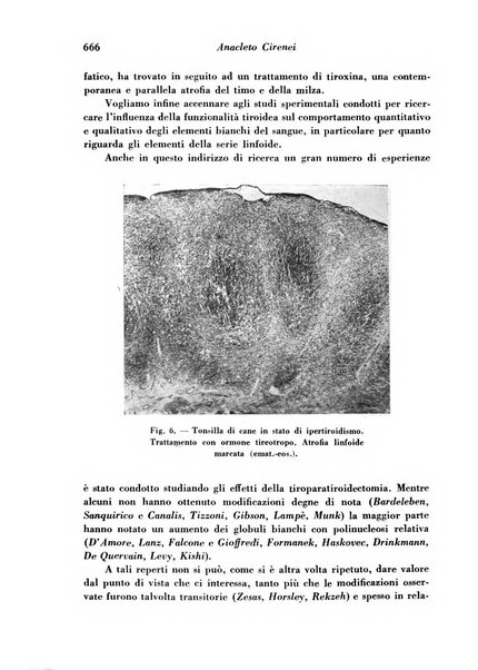 Archivio De Vecchi per l'anatomia patologica e la medicina clinica