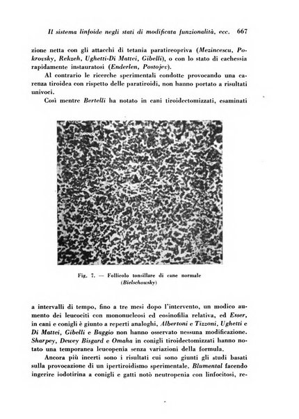 Archivio De Vecchi per l'anatomia patologica e la medicina clinica