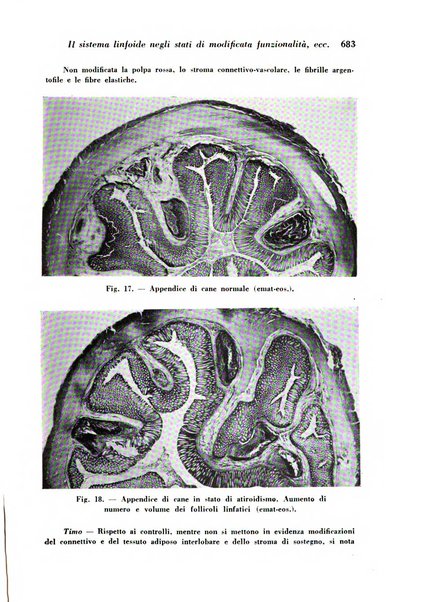 Archivio De Vecchi per l'anatomia patologica e la medicina clinica