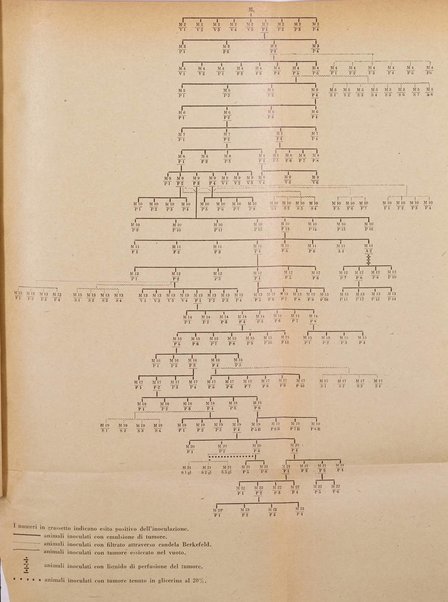 Archivio De Vecchi per l'anatomia patologica e la medicina clinica