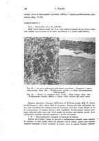 giornale/TO00177004/1942-1943/unico/00000068