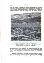 giornale/TO00177004/1942-1943/unico/00000084