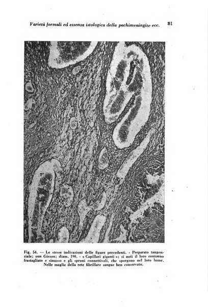 Archivio De Vecchi per l'anatomia patologica e la medicina clinica