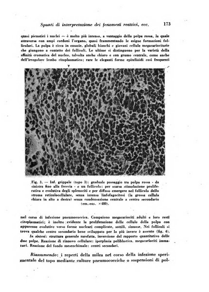 Archivio De Vecchi per l'anatomia patologica e la medicina clinica