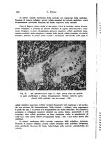 giornale/TO00177004/1942-1943/unico/00000200