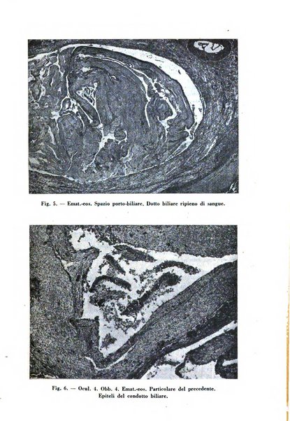 Archivio De Vecchi per l'anatomia patologica e la medicina clinica