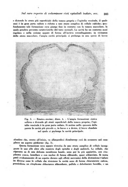 Archivio De Vecchi per l'anatomia patologica e la medicina clinica