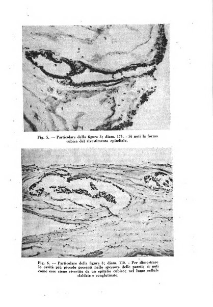 Archivio De Vecchi per l'anatomia patologica e la medicina clinica