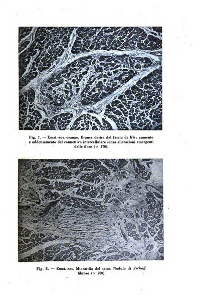 Archivio De Vecchi per l'anatomia patologica e la medicina clinica