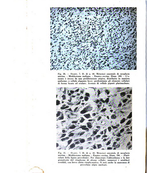 Archivio De Vecchi per l'anatomia patologica e la medicina clinica