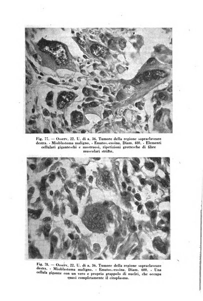 Archivio De Vecchi per l'anatomia patologica e la medicina clinica