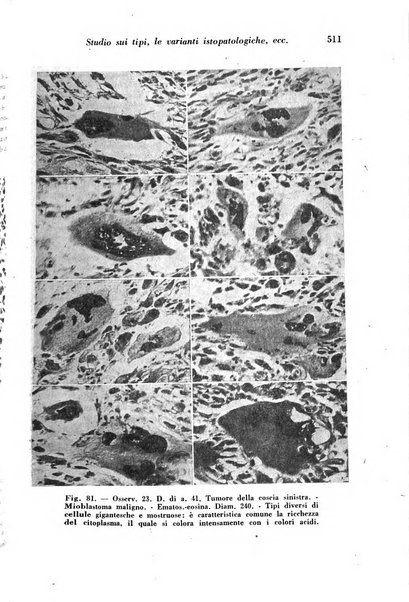 Archivio De Vecchi per l'anatomia patologica e la medicina clinica