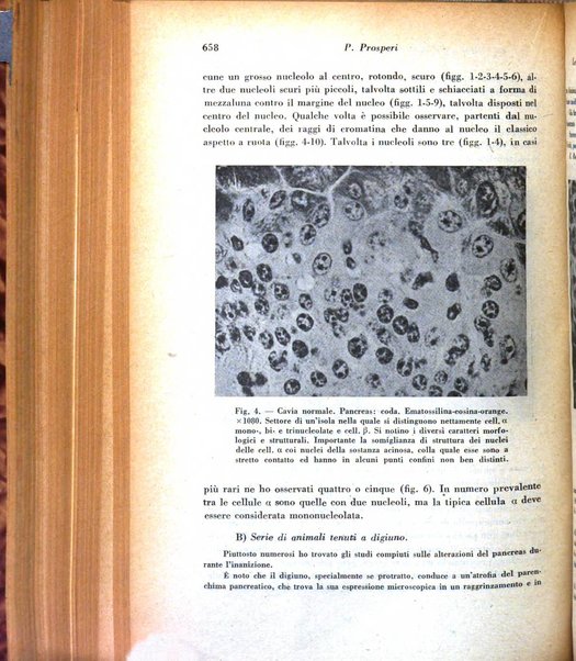 Archivio De Vecchi per l'anatomia patologica e la medicina clinica