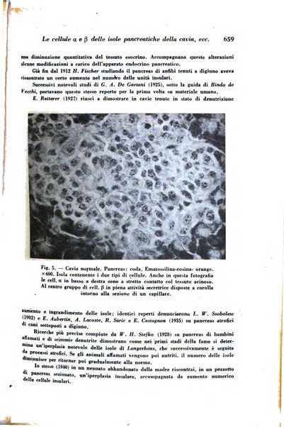 Archivio De Vecchi per l'anatomia patologica e la medicina clinica