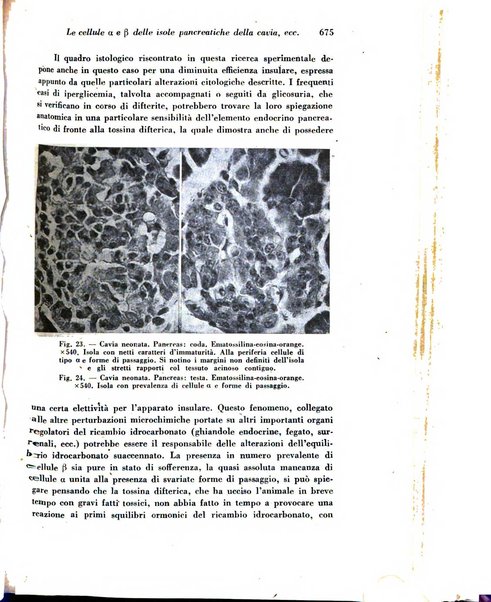 Archivio De Vecchi per l'anatomia patologica e la medicina clinica