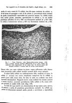 giornale/TO00177004/1942-1943/unico/00000721