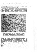 giornale/TO00177004/1942-1943/unico/00000723