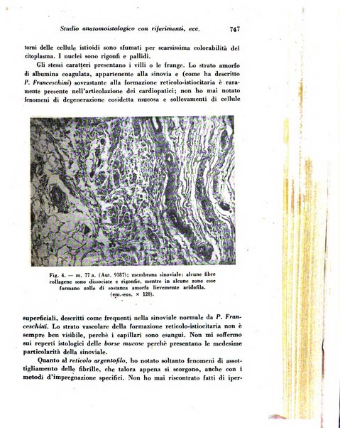 Archivio De Vecchi per l'anatomia patologica e la medicina clinica