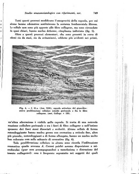 Archivio De Vecchi per l'anatomia patologica e la medicina clinica