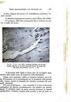 giornale/TO00177004/1942-1943/unico/00000785