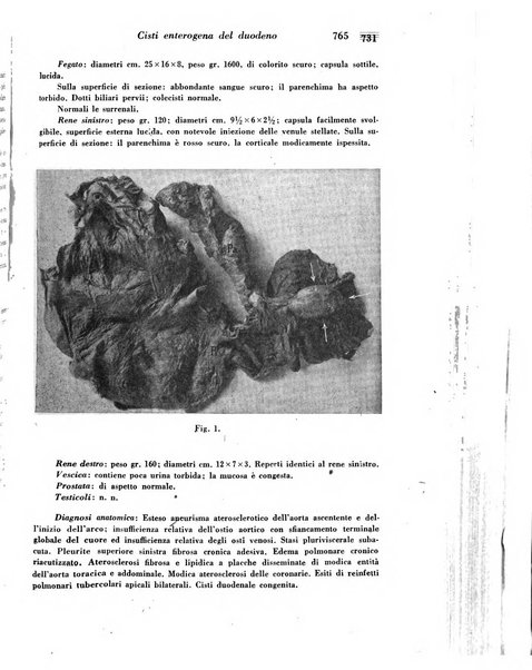 Archivio De Vecchi per l'anatomia patologica e la medicina clinica