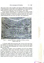 giornale/TO00177004/1942-1943/unico/00000799