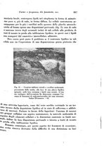 giornale/TO00177004/1942-1943/unico/00000883