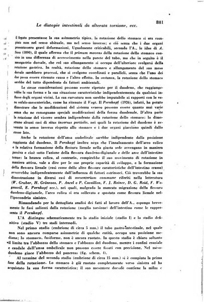 Archivio De Vecchi per l'anatomia patologica e la medicina clinica