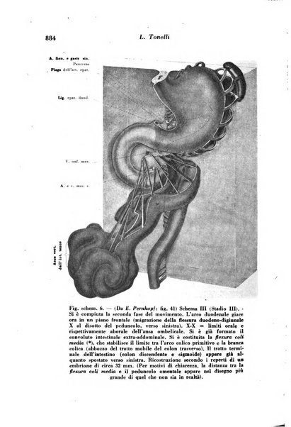 Archivio De Vecchi per l'anatomia patologica e la medicina clinica