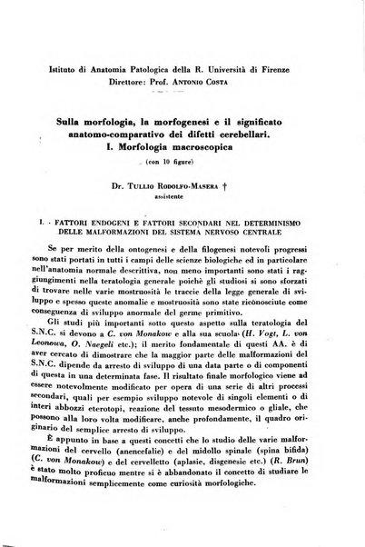 Archivio De Vecchi per l'anatomia patologica e la medicina clinica