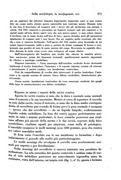 Archivio De Vecchi per l'anatomia patologica e la medicina clinica