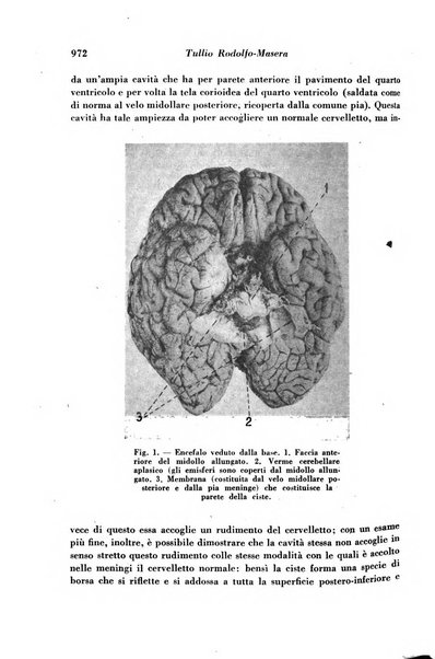 Archivio De Vecchi per l'anatomia patologica e la medicina clinica