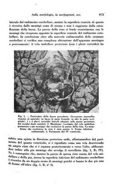 Archivio De Vecchi per l'anatomia patologica e la medicina clinica