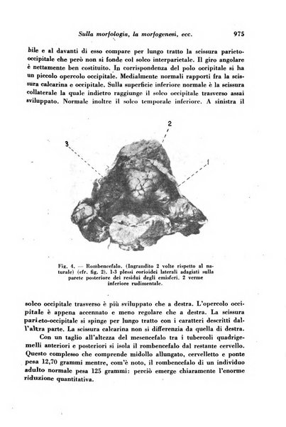 Archivio De Vecchi per l'anatomia patologica e la medicina clinica