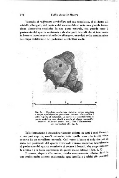 Archivio De Vecchi per l'anatomia patologica e la medicina clinica