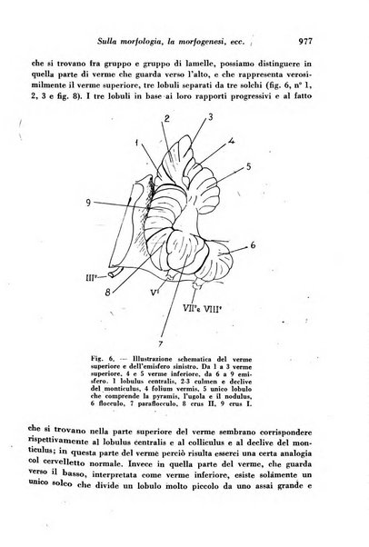 Archivio De Vecchi per l'anatomia patologica e la medicina clinica