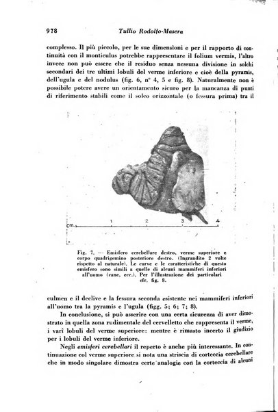 Archivio De Vecchi per l'anatomia patologica e la medicina clinica