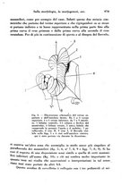 giornale/TO00177004/1942-1943/unico/00001021