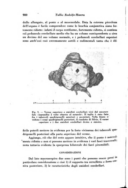 Archivio De Vecchi per l'anatomia patologica e la medicina clinica