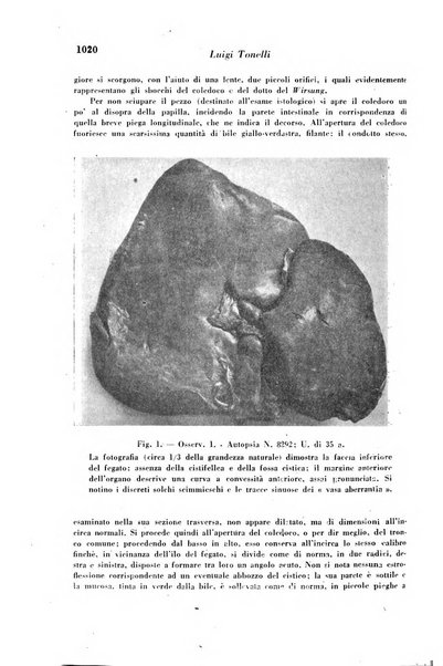 Archivio De Vecchi per l'anatomia patologica e la medicina clinica