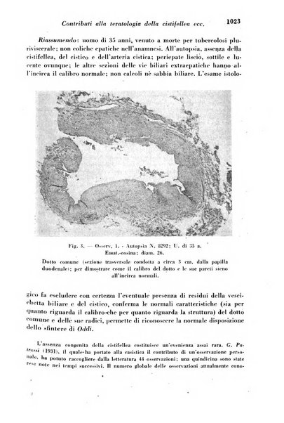 Archivio De Vecchi per l'anatomia patologica e la medicina clinica