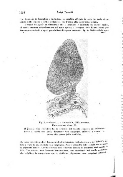 Archivio De Vecchi per l'anatomia patologica e la medicina clinica