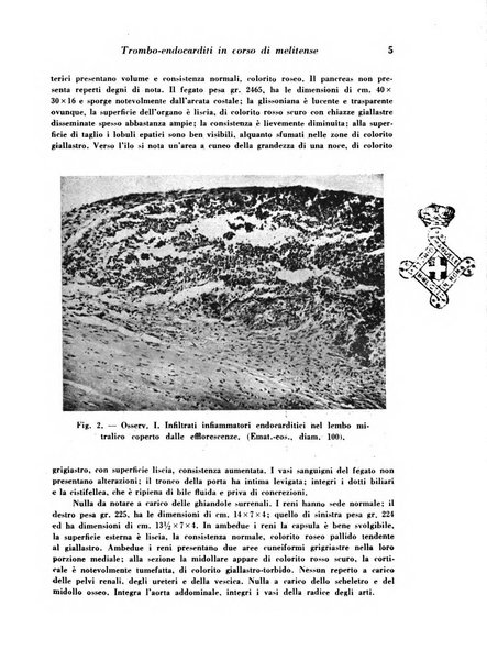 Archivio De Vecchi per l'anatomia patologica e la medicina clinica