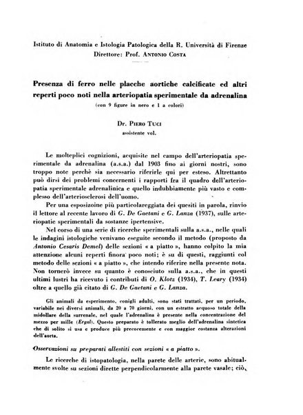 Archivio De Vecchi per l'anatomia patologica e la medicina clinica