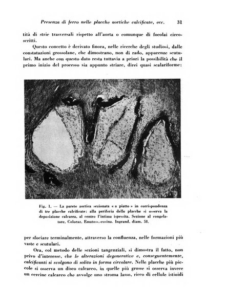 Archivio De Vecchi per l'anatomia patologica e la medicina clinica