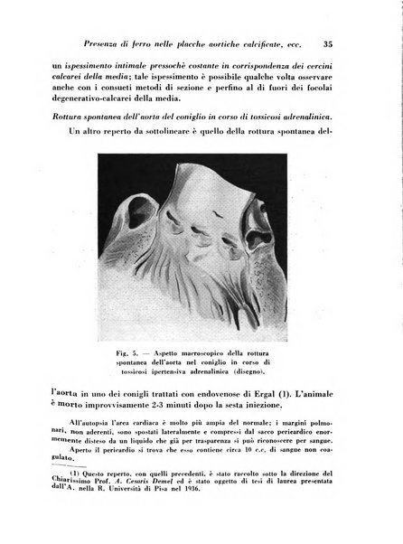 Archivio De Vecchi per l'anatomia patologica e la medicina clinica