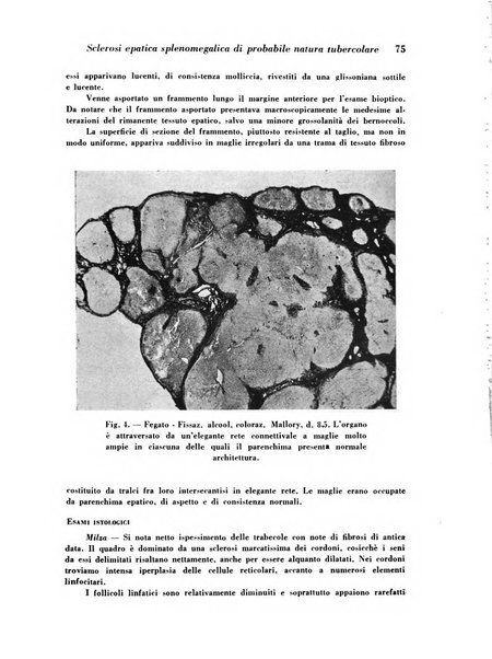 Archivio De Vecchi per l'anatomia patologica e la medicina clinica