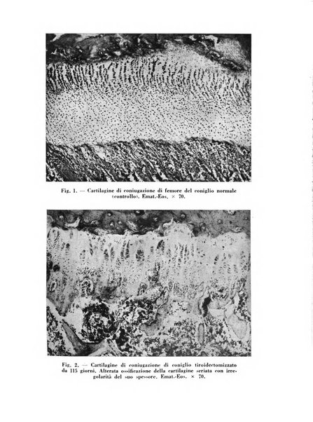 Archivio De Vecchi per l'anatomia patologica e la medicina clinica