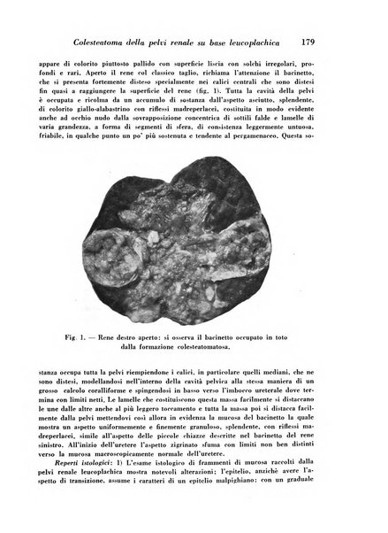 Archivio De Vecchi per l'anatomia patologica e la medicina clinica