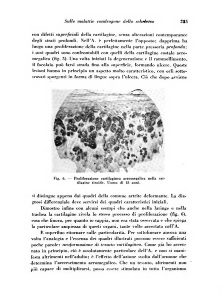 Archivio De Vecchi per l'anatomia patologica e la medicina clinica